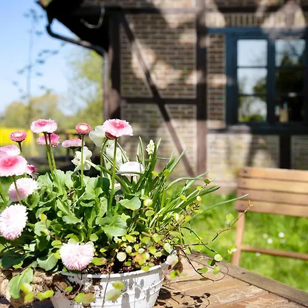 Rosen Hébergement de vacances Gelting