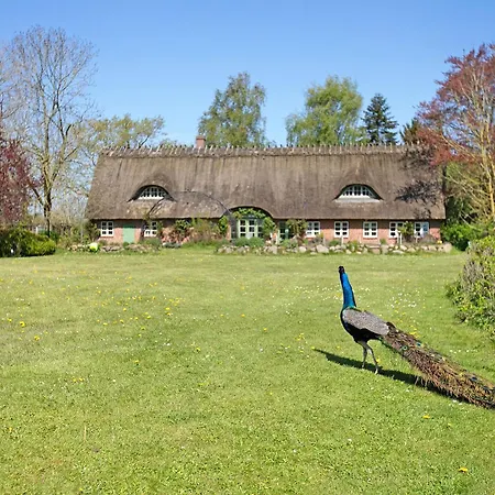 Rosen Holiday home *
