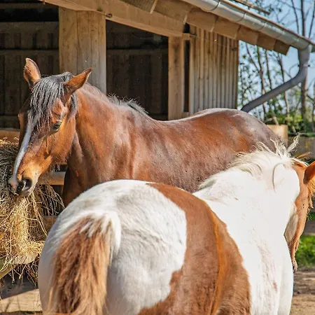 Rosen Hébergement de vacances Gelting