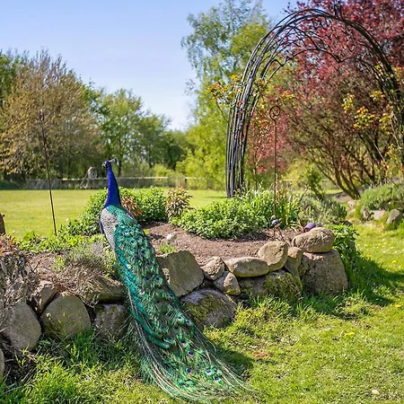 Hébergement de vacances Rosen